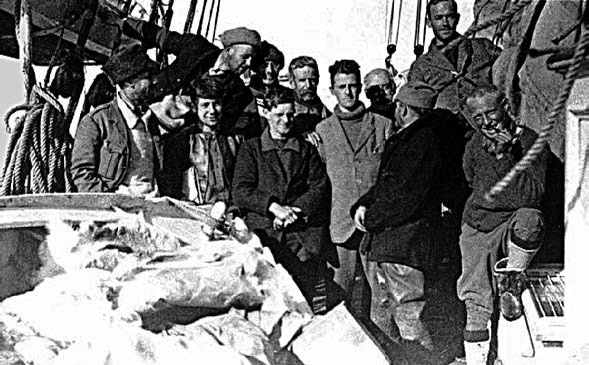 Закон "джунглей". В поисках формулы жизни Закон "джунглей". В поисках формулы жизни