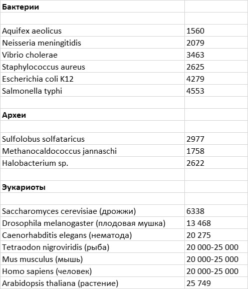 Приспособиться и выжить! ДНК как летопись эволюции Приспособиться и выжить! ДНК как летопись эволюции