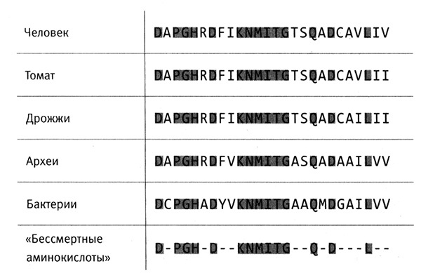 Приспособиться и выжить! ДНК как летопись эволюции Приспособиться и выжить! ДНК как летопись эволюции