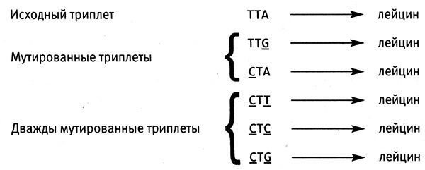 Приспособиться и выжить! ДНК как летопись эволюции Приспособиться и выжить! ДНК как летопись эволюции