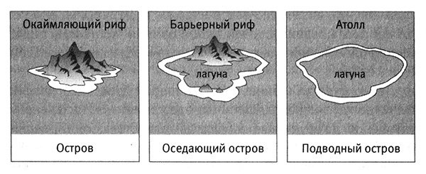 Приспособиться и выжить! ДНК как летопись эволюции Приспособиться и выжить! ДНК как летопись эволюции