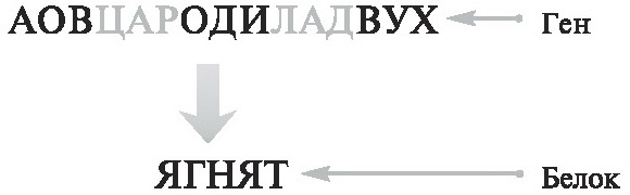 Мусорная ДНК. Путешествие в темную материю генома Мусорная ДНК. Путешествие в темную материю генома