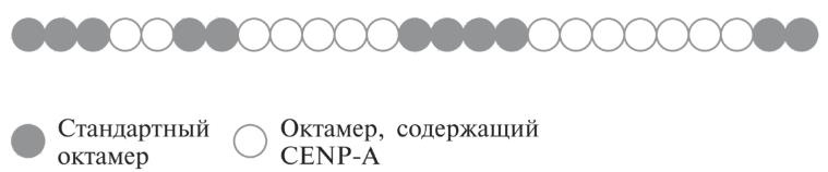 Мусорная ДНК. Путешествие в темную материю генома Мусорная ДНК. Путешествие в темную материю генома