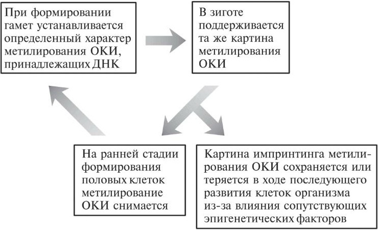 Мусорная ДНК. Путешествие в темную материю генома Мусорная ДНК. Путешествие в темную материю генома