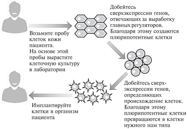 Мусорная ДНК. Путешествие в темную материю генома Мусорная ДНК. Путешествие в темную материю генома