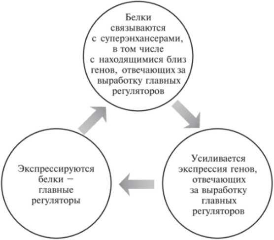 Мусорная ДНК. Путешествие в темную материю генома Мусорная ДНК. Путешествие в темную материю генома