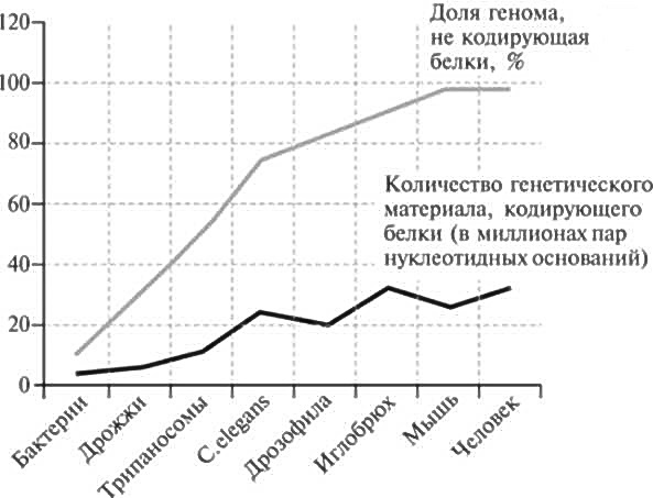 Мусорная ДНК. Путешествие в темную материю генома Мусорная ДНК. Путешествие в темную материю генома