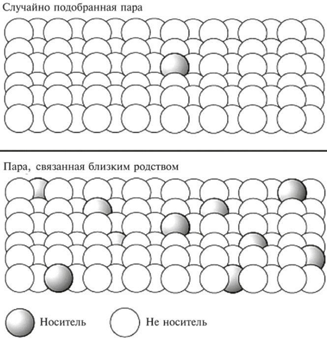 Мусорная ДНК. Путешествие в темную материю генома Мусорная ДНК. Путешествие в темную материю генома