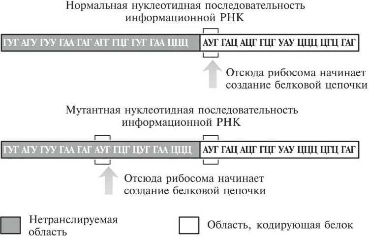 Мусорная ДНК. Путешествие в темную материю генома Мусорная ДНК. Путешествие в темную материю генома