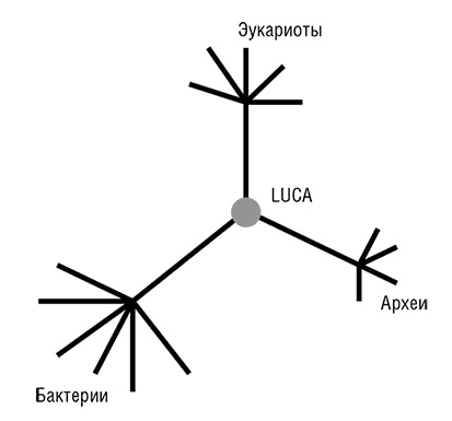 Логика случая. О природе и происхождении биологической эволюции Логика случая. О природе и происхождении биологической эволюции