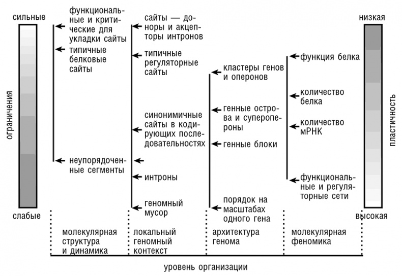 Логика случая. О природе и происхождении биологической эволюции Логика случая. О природе и происхождении биологической эволюции