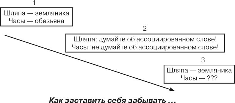 Почему девочки не хуже мальчиков разбираются в математике Почему девочки не хуже мальчиков разбираются в математике