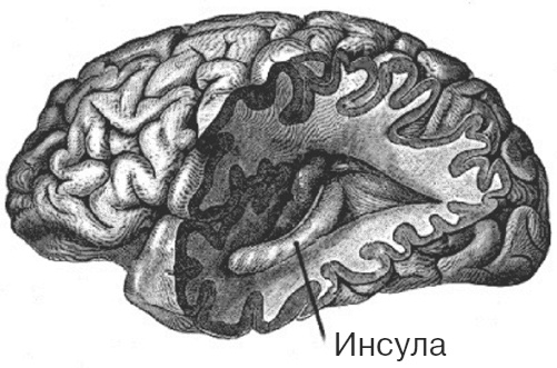 Почему девочки не хуже мальчиков разбираются в математике Почему девочки не хуже мальчиков разбираются в математике
