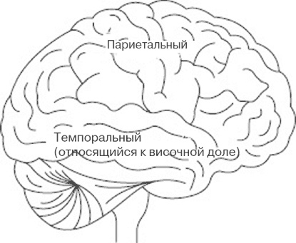 Почему девочки не хуже мальчиков разбираются в математике Почему девочки не хуже мальчиков разбираются в математике