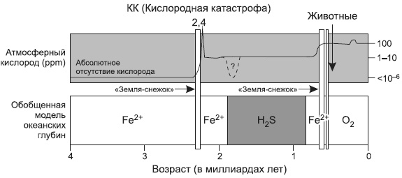Новая история происхождения жизни на Земле Новая история происхождения жизни на Земле