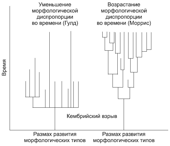 Новая история происхождения жизни на Земле Новая история происхождения жизни на Земле