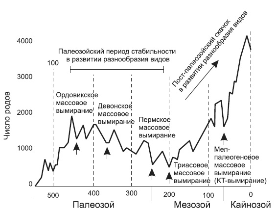 Новая история происхождения жизни на Земле Новая история происхождения жизни на Земле