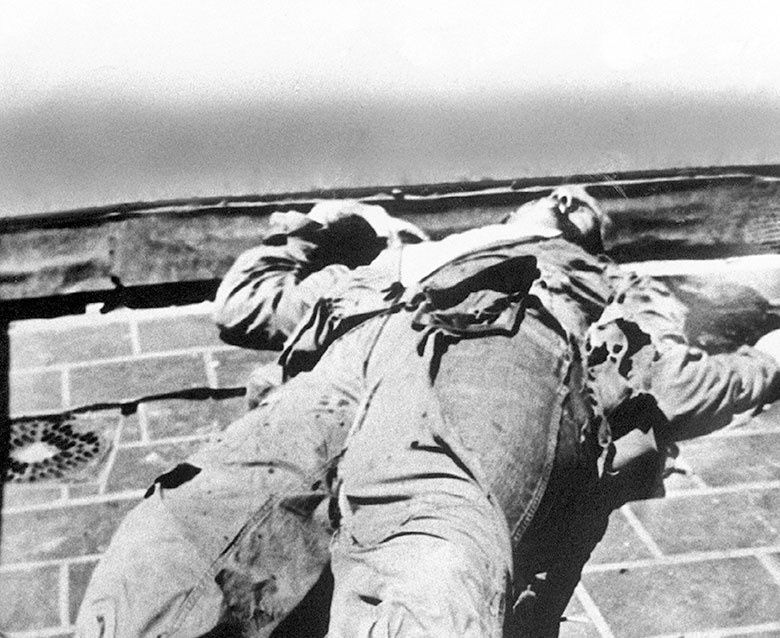 Мозг. Ваша личная история Мозг. Ваша личная история
