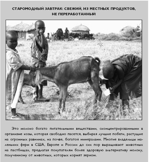 Умный ген. Какая еда нужна нашей ДНК Умный ген. Какая еда нужна нашей ДНК