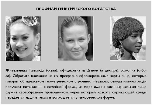 Умный ген. Какая еда нужна нашей ДНК Умный ген. Какая еда нужна нашей ДНК