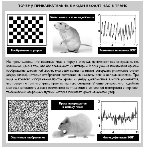 Умный ген. Какая еда нужна нашей ДНК Умный ген. Какая еда нужна нашей ДНК