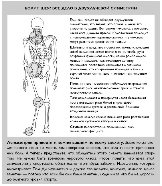 Умный ген. Какая еда нужна нашей ДНК Умный ген. Какая еда нужна нашей ДНК