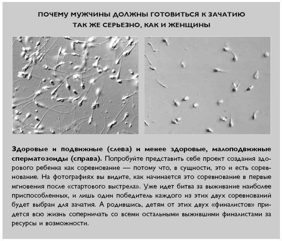 Умный ген. Какая еда нужна нашей ДНК Умный ген. Какая еда нужна нашей ДНК