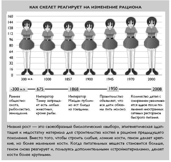 Умный ген. Какая еда нужна нашей ДНК Умный ген. Какая еда нужна нашей ДНК