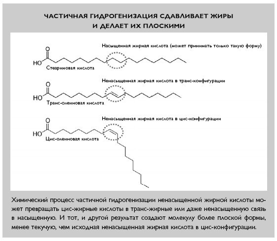 Умный ген. Какая еда нужна нашей ДНК Умный ген. Какая еда нужна нашей ДНК