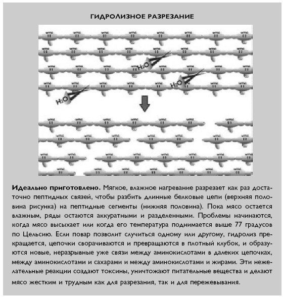 Умный ген. Какая еда нужна нашей ДНК Умный ген. Какая еда нужна нашей ДНК