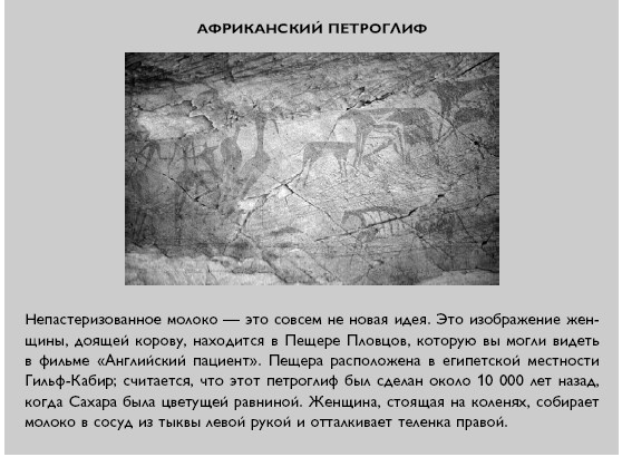 Умный ген. Какая еда нужна нашей ДНК Умный ген. Какая еда нужна нашей ДНК