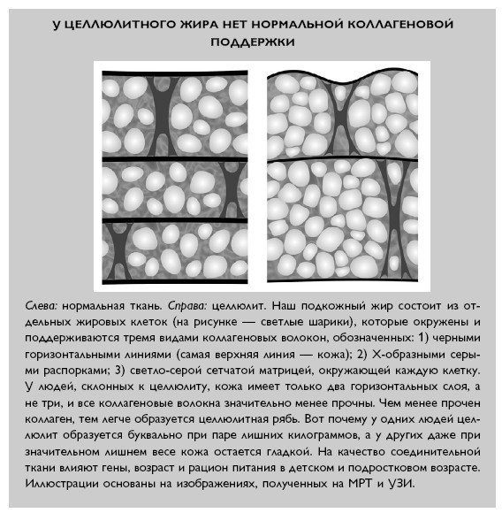 Умный ген. Какая еда нужна нашей ДНК Умный ген. Какая еда нужна нашей ДНК