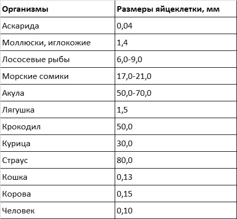 Темы школьного курса. Размножение организмов. Деление клеток. Способы размножения организмов. Онтогенез Темы школьного курса. Размножение организмов. Деление клеток. Способы размножения организмов. Онтогенез
