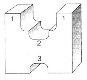 Биология: Обмен веществ и энергии в клетках организма Биология: Обмен веществ и энергии в клетках организма