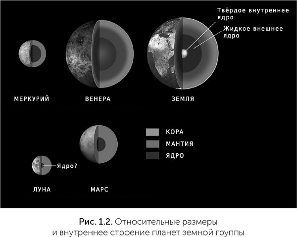 Происхождение жизни. От туманности до клетки Происхождение жизни. От туманности до клетки