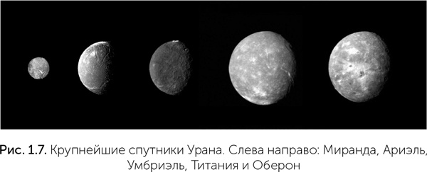 Происхождение жизни. От туманности до клетки Происхождение жизни. От туманности до клетки