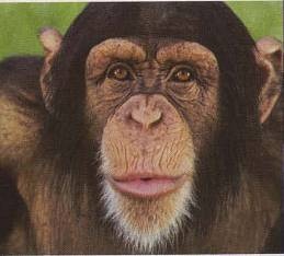 Голый мужчина Голый мужчина