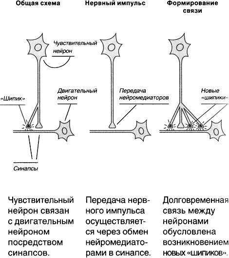 Красная таблетка. Посмотри правде в глаза! Красная таблетка. Посмотри правде в глаза!