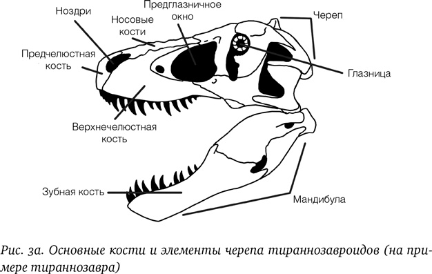 Хроники тираннозавра. Биология и эволюция самого известного хищника в мире Хроники тираннозавра. Биология и эволюция самого известного хищника в мире