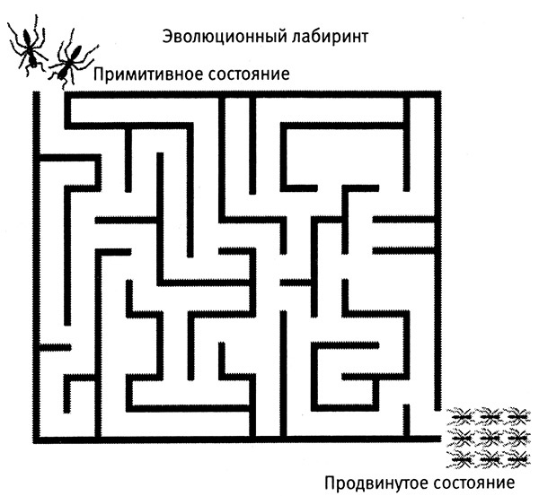 Хозяева Земли. Социальное завоевание планеты человечеством Хозяева Земли. Социальное завоевание планеты человечеством