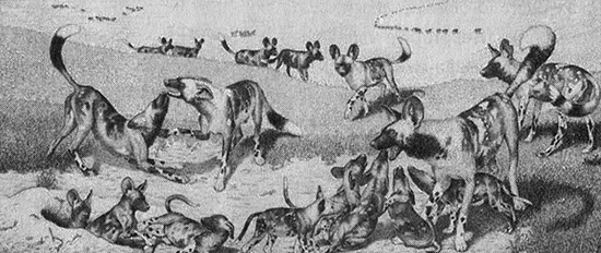 Хозяева Земли. Социальное завоевание планеты человечеством Хозяева Земли. Социальное завоевание планеты человечеством