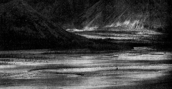 Хозяева Земли. Социальное завоевание планеты человечеством Хозяева Земли. Социальное завоевание планеты человечеством