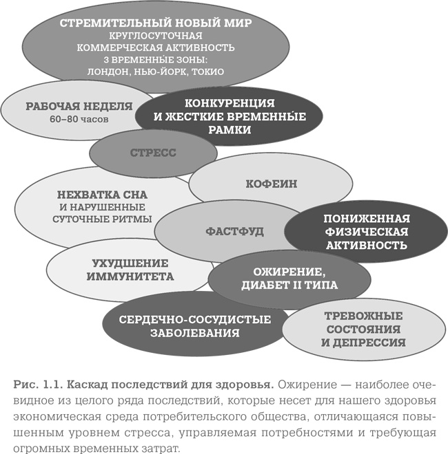 Мозг. Тонкая настройка. Наша жизнь с точки зрения нейронауки Мозг. Тонкая настройка. Наша жизнь с точки зрения нейронауки