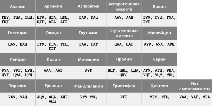 Геном человека: Энциклопедия, написанная четырьмя буквами Геном человека: Энциклопедия, написанная четырьмя буквами