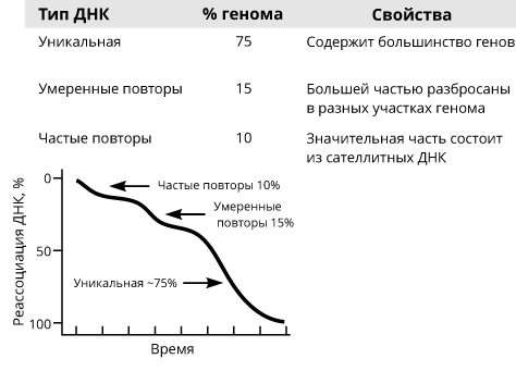 Геном человека: Энциклопедия, написанная четырьмя буквами Геном человека: Энциклопедия, написанная четырьмя буквами