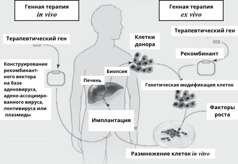 Геном человека: Энциклопедия, написанная четырьмя буквами Геном человека: Энциклопедия, написанная четырьмя буквами