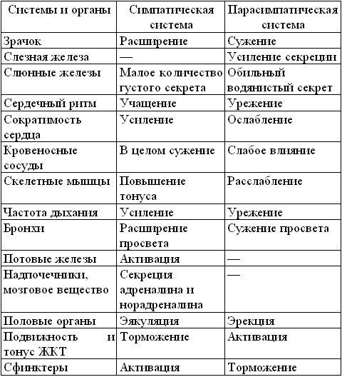 Средство от вегетососудистой дистонии - Андрей Владимирович Курпатов