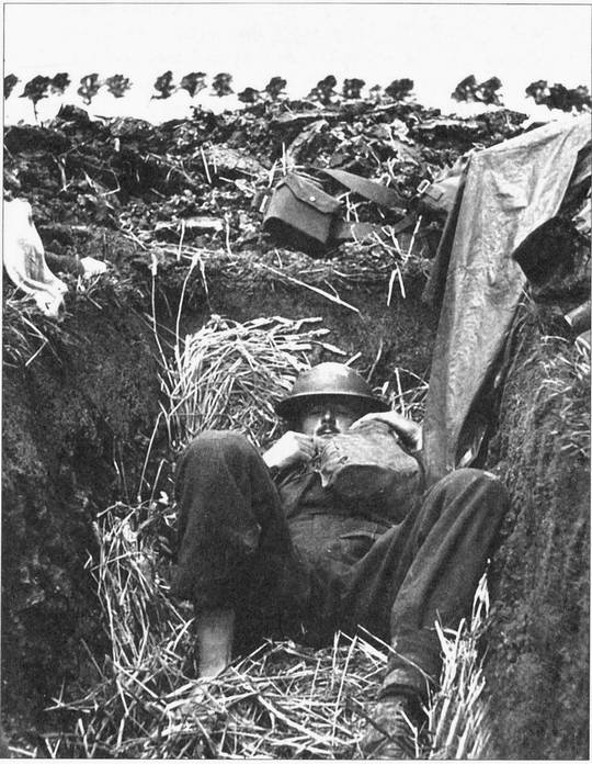 Величайший позор Британии. От Дюнкерка до Крита. 1940-1941 Величайший позор Британии. От Дюнкерка до Крита. 1940-1941