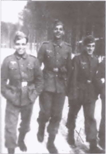 Французский легион на службе Гитлеру. 1941-1944 гг. Французский легион на службе Гитлеру. 1941-1944 гг.