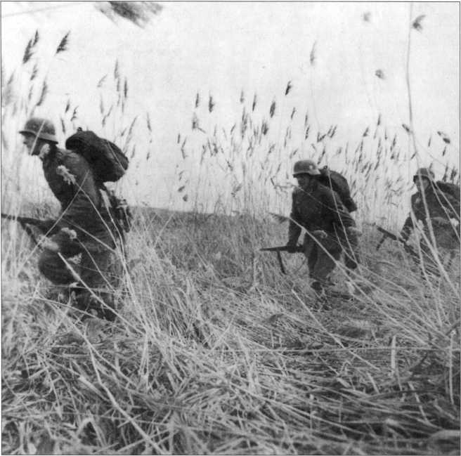 Wehrmacht. Сухопутные войска III Рейха Wehrmacht. Сухопутные войска III Рейха